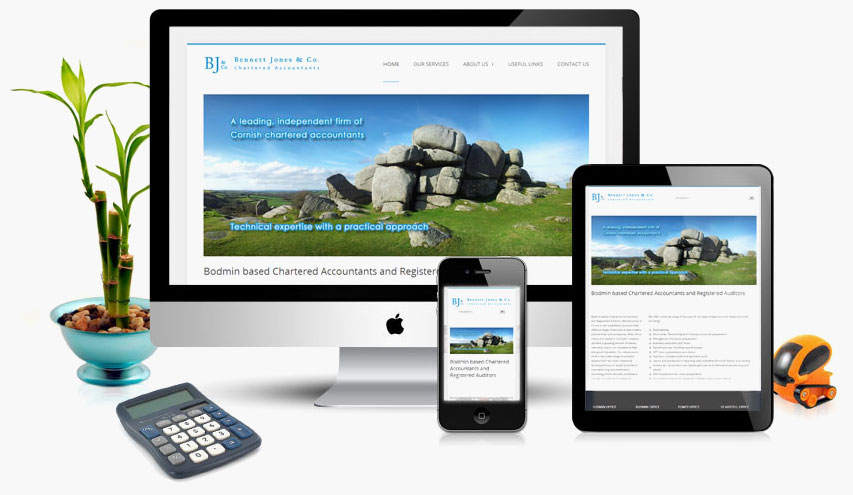 Website Design Expertise